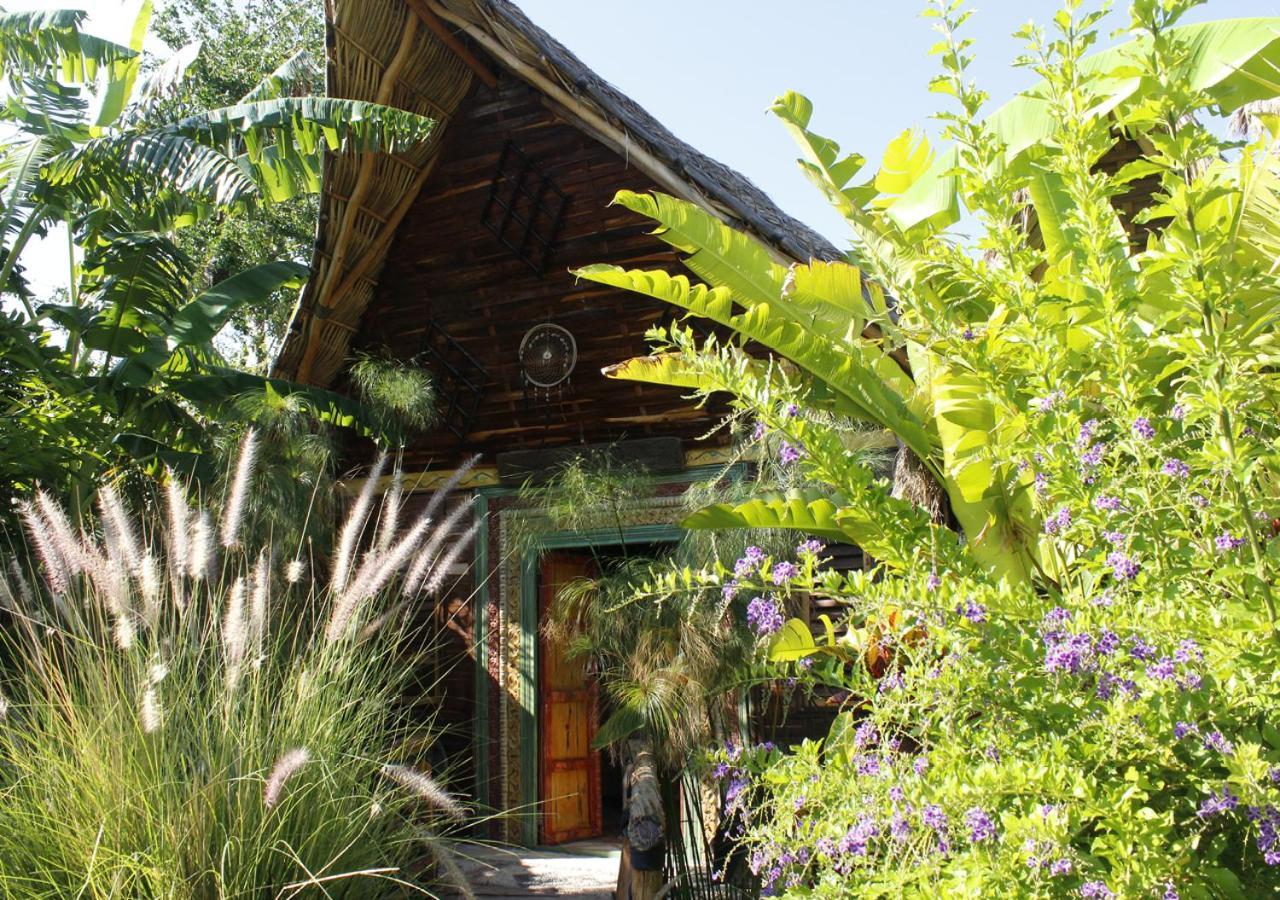 Mandala Thai Ajijic Exterior photo